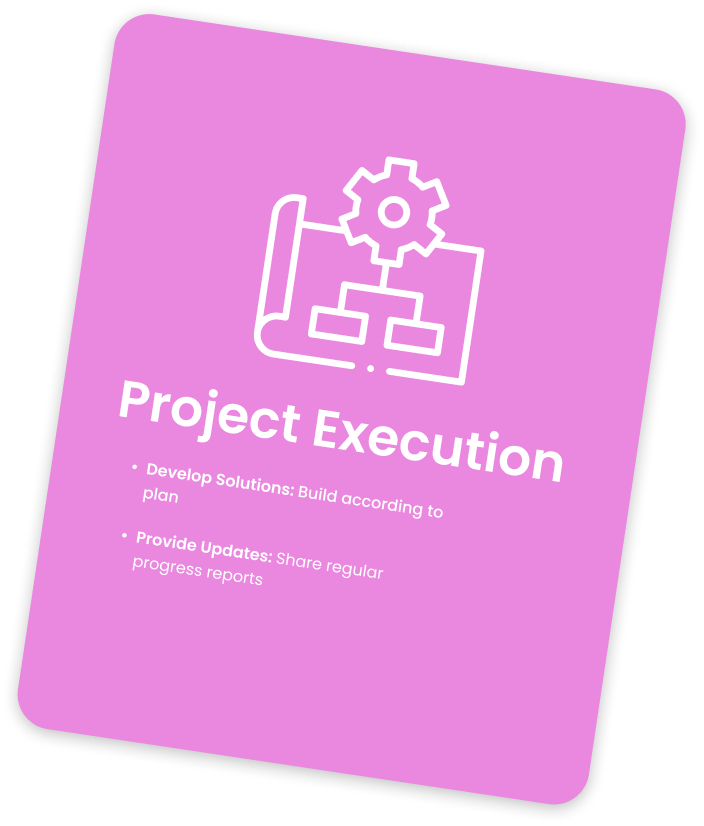 Project Execution